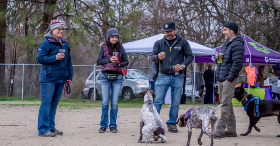 Dogs and their owners at Yappy Hour event at Bear Creek Dog Park