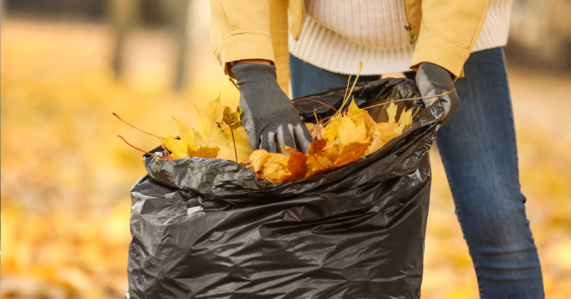 Person bagging leaves 