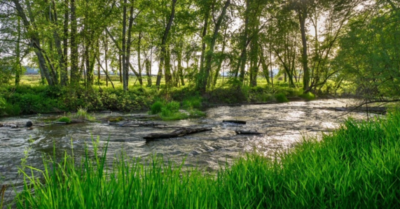 Protect natural floodplain functions