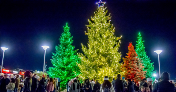 Winter Lights Festival