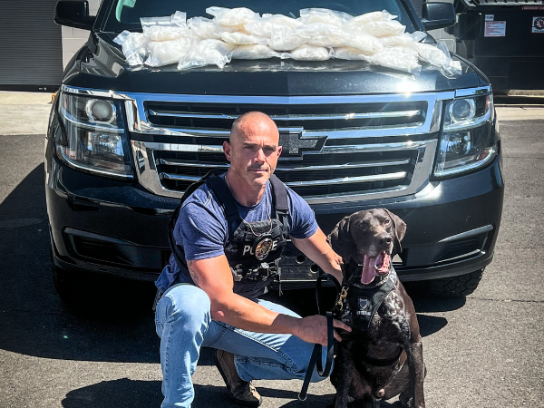 MADGE Resized (updated)