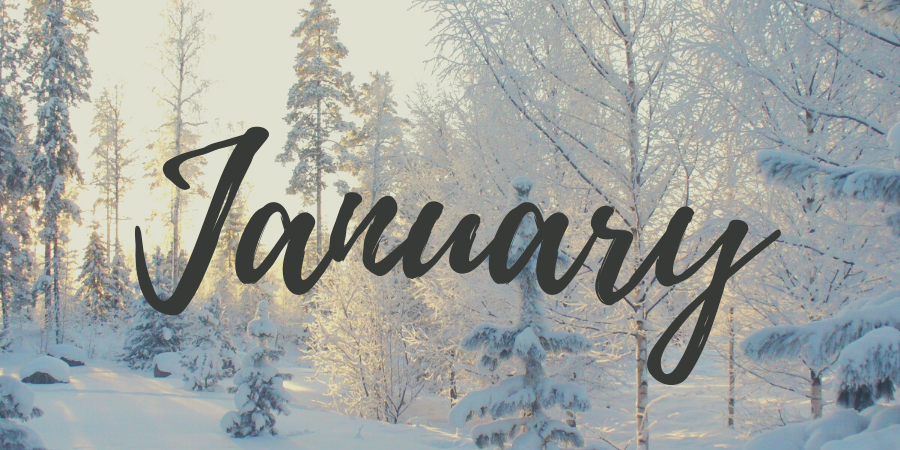 JANUARY IMAGE HEADER 2025