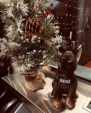 Benz Stuffie for Sale