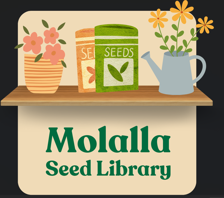 Seed Library Poster 