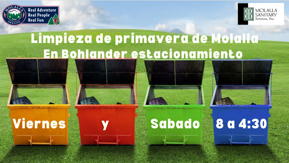 Limpieza de Primavera!