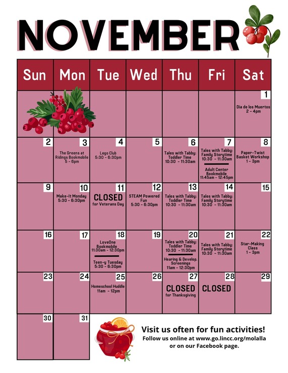 Library - November 2