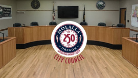 City Council