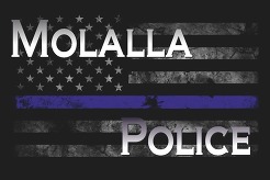 mopd banner 