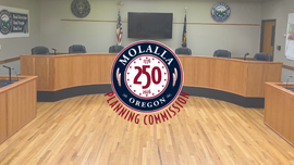 Planning Commission