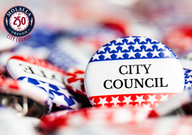 cc elections