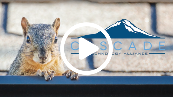 photo of squirrel with cascade technology alliance logo and a play button