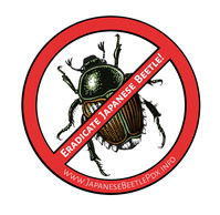 Eradicate Japanese beetle