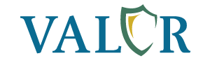 Valor Program Logo
