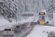 Cars and trucks drive on a road surrounded by snow and snow-covered trees. 