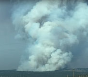 Large plume of wildfire smoke over trees