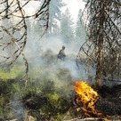 Firefighter oversees a prescribed burn in a forest