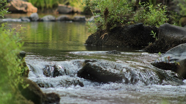 Rogue river