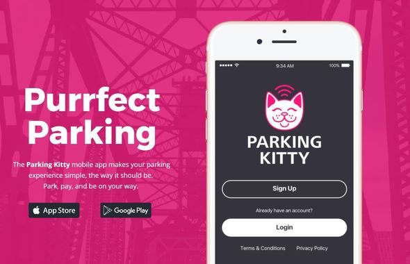 parking kitty website