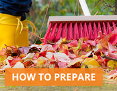 leaf day how to prepare