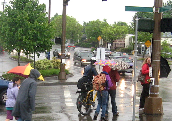 terwilliger walk in the rain
