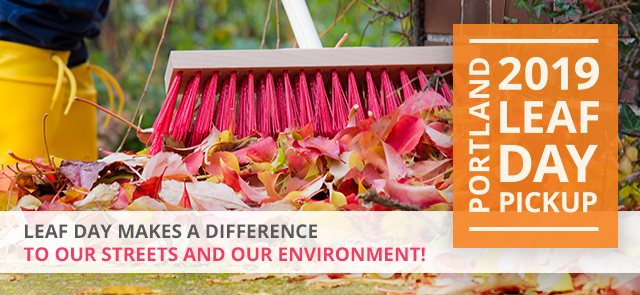 Leaf Day Makes a Difference 2019