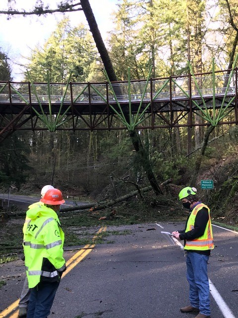 West Burnside landslide Jan 2021