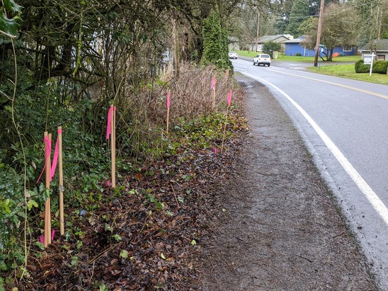 Easement stakes along SW Capitol Highway
