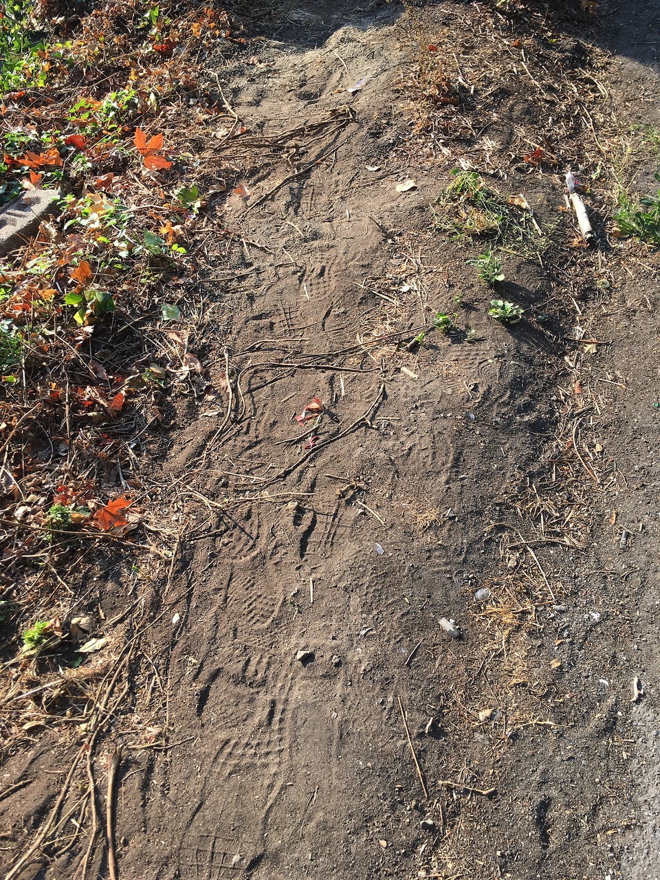 SW Broadway dirt path