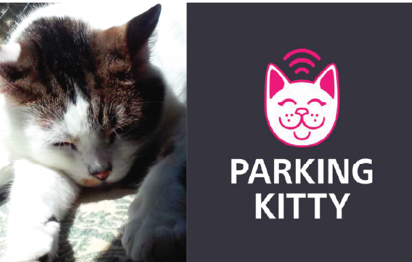 coconut and parking kitty