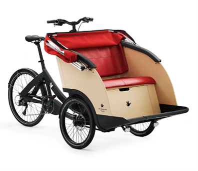 Pictured is a Trio Taxi 3-wheel bike with a standard bike seat in the back and carriage seat in the front. 