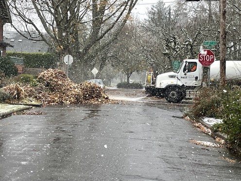 Leaf day in snow