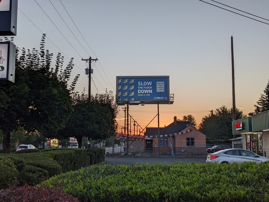 A blue "Slow the Flock Down" billboard hovering above Portland streets during sunset. 
