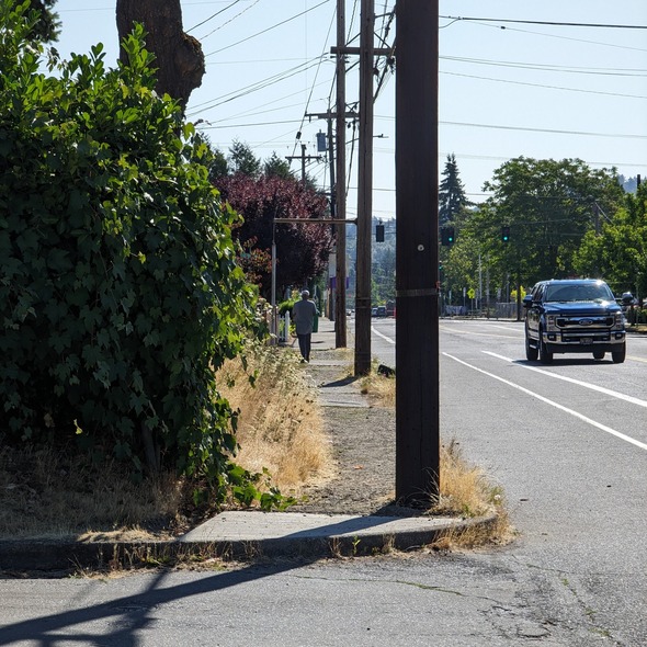 A person walking along a narrow, unpaved sidewalk with overgrown vegetation and poles obstructing the pathway.