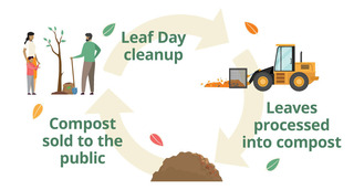 Graphic showing the circle of life going from Leaf Day pickup to leaves processed into compost, to compost sold to the public.