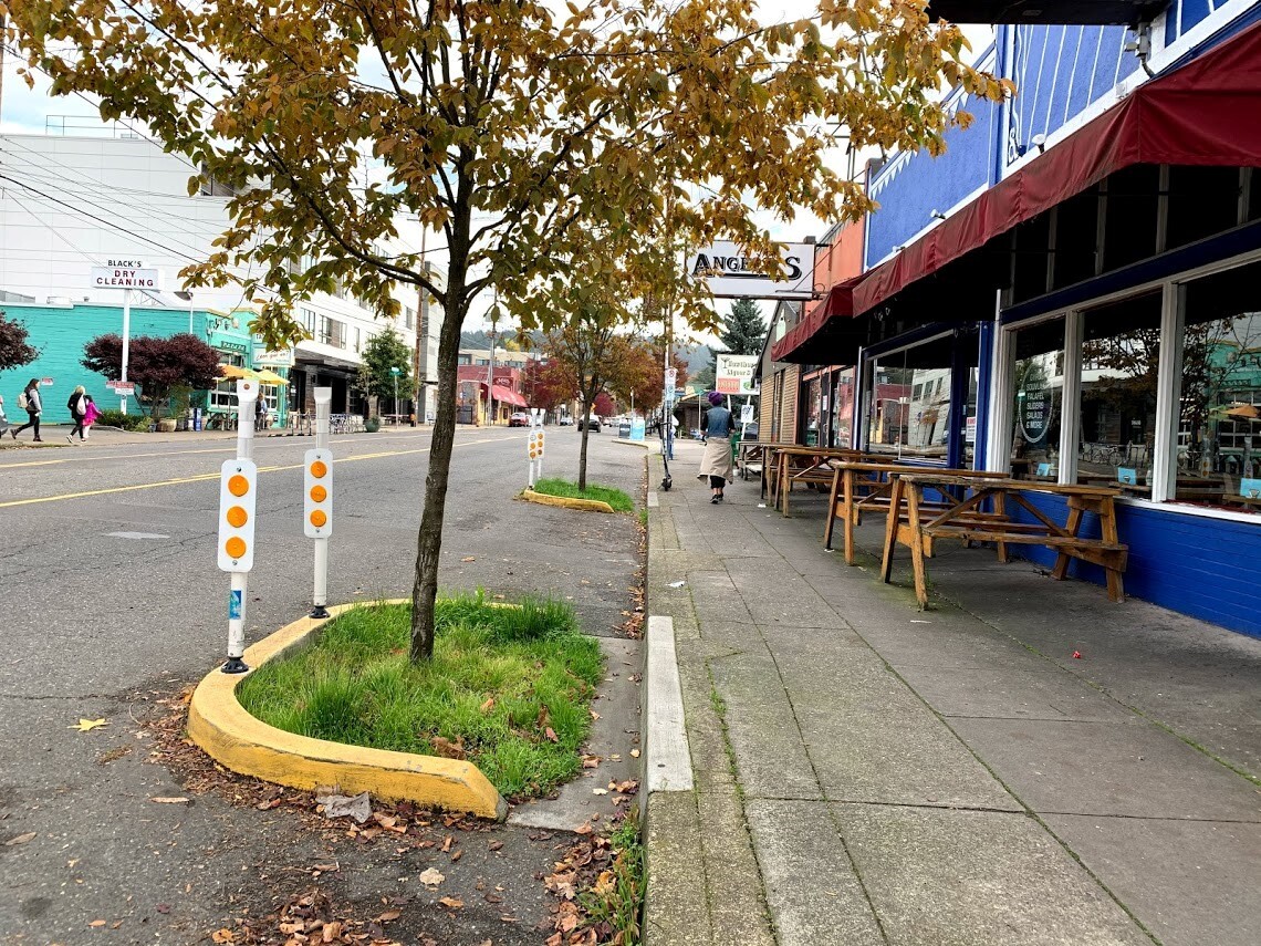 An example of trees planted in the street along the curb a decade ago on SE Hawthorne Boulevard.
