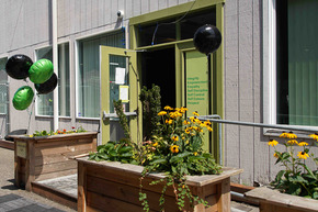 Balloons decorate the entrance to shared space at Clinton Triangle for celebration