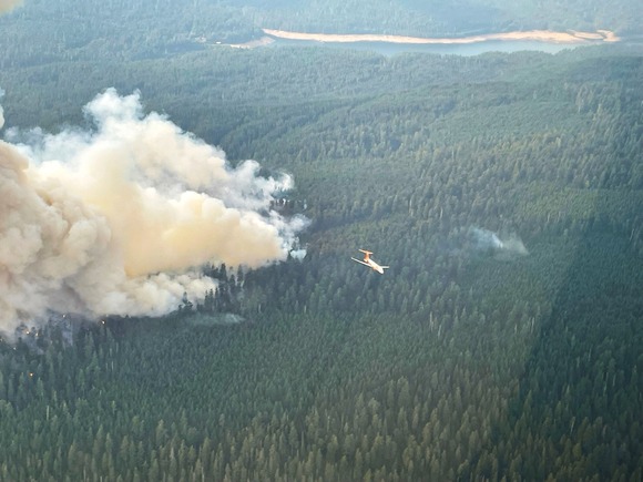 Water Camp Creek Fire 