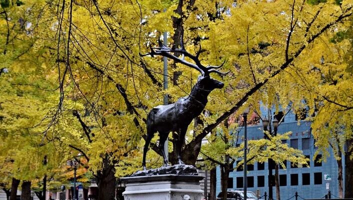 A bronze statue of an elk stands on top of a water fountain in downtown Portland. Golden fall foliage appears in the background.