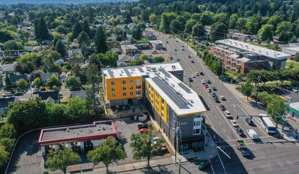 Orchards Aerial