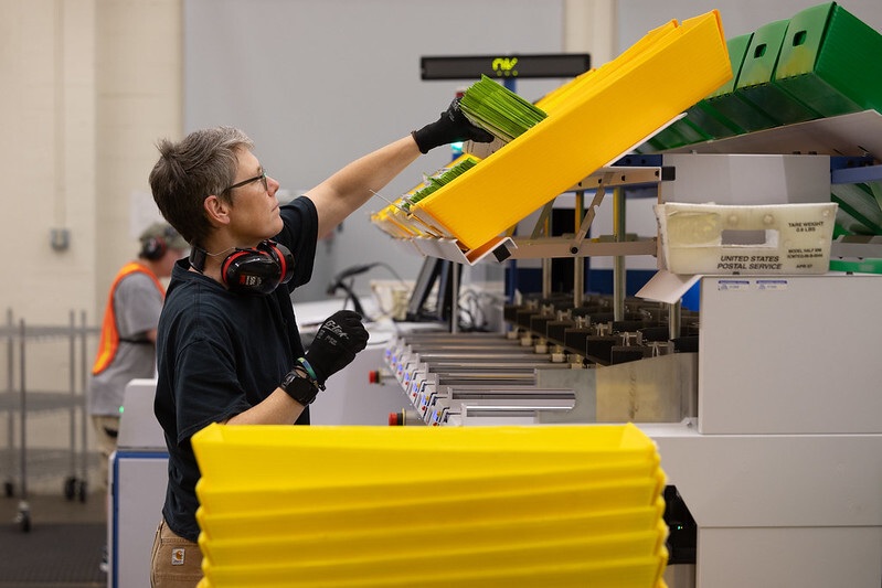 A person sorting ballots into a machine