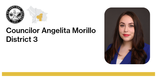 District 3 Councilor Angelita Morillo Banner