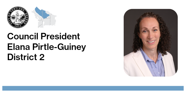 Council President Elana Pirtle-Guiney with headshot and map of District 2