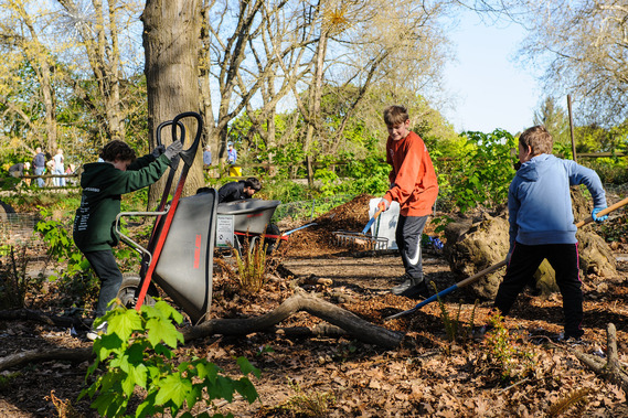 Irving Park volunteer event