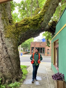 Colin and the Catalpa