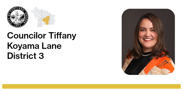 District 3 Councilor Tiffany Koyama Lane Banner