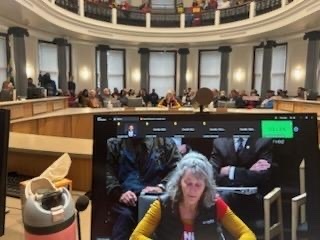 Jan Zuckerman, founder of Sunnyside School, testifies at City Hall this week