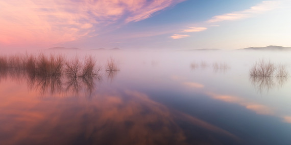 Katsuyuki Shibata's Daybreak at MAC