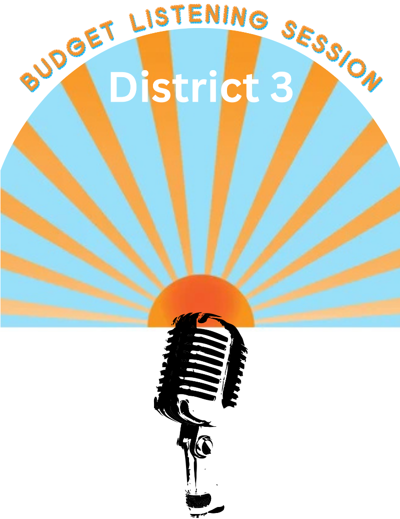 District 3 Budget Listening Session