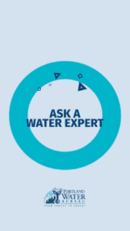 Water Filtration Mac Drippy Ask Expert