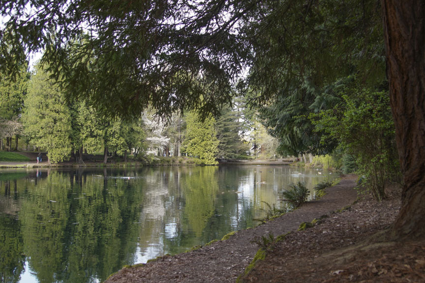 Laurelhurst Park duck pond
